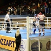 Mozzart sponzor Evropskog kupa u kick boksu: Pohvale organizatorima stižu iz cijele Evrope