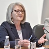 Krišto o plinovodima: Energetska pitanja su u nadležnosti entiteta, HDZ ne registrira preduzeća za gas