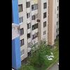 Sarajevsko naselje Mojmilo: Bacao otpad kroz prozor zgrade, objavljen videozapis