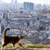 Nakon sunca ponovo stiže kiša, pljuskovi i gmrljavina