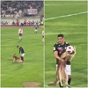 Urnebesan video: Nestašni pas uletio na nogometni teren i ukrao loptu igračima