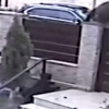 Tri psa šnaucera u Rumuniji uspjela otjerati medvjeda iz dvorišta, vlasnica mirno posmatrala potjeru