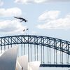 Ovog vikenda u Bostonu počinje Red Bull Cliff Diving sezona