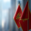 Građani Crne Gore danas izlaze na parlamentarne izbore: Da li je kraj dugotrajne nestabilnosti?