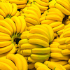 Kutije sa bananama i kokainom koje su pronađene u Širokom Brijegu ne pripadaju brendu "Derby"