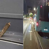 Incident u Bukureštu: Tramvajska šina probila pod autobusa, pukom srećom nema povrijeđenih