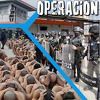 Honduras prepisuje od El Salvadora: Kreće rat protiv bandi uz dobro poznate metode