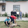 U dvorištu Karađoz-begove medrese u Mostaru žrtvovan kurban