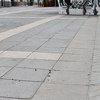 U Sarajevu sve više žalbi zbog najezde žohara, inspekcija zaprimila više prijava