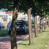 Ilidža: Audi beogradskih registracija vozio biciklističkom stazom kako bi izbjegao gužvu