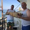 Muškarac iz Srbije ponio pečeno jagnje u Grčku: "Paradajz turista, viši nivo"