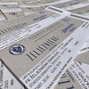 Željezničar već prvog dana prodao gotovo 50 posto ulaznica za utakmicu protiv Dinama