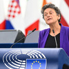 Tineke Strik: Pozivam OHR da Dodiku da kratkoročni ultimatum