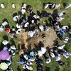 Brojni svjetski lideri izrazili suosjećanje sa boli povodom godišnjice genocida u Srebrenici