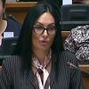 Vučićeva zastupnica tokom rasprave o smjeni ministra objašnjavala kako funkcioniše kružni tok