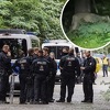 Njemačka policija i eksperti: "Lavica" iz Berlina je vjerovatno vepar, potraga okončana