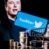 Elon Musk mijenja logo Twittera: Plava ptica postaje prošlost