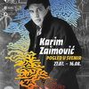 U Muzeju književnosti 27. jula otvaranje izložbe "Karim Zaimović - Pogled u svemir"