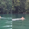 Medvjed snimljen kako pliva u Drini, spas od vrućine našao u vodi