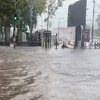 Strašno nevrijeme poharalo Beograd: Nebo se zacrnilo, vjetar nosio sve pred sobom