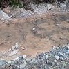 Skupština ZDK želi dodijeliti priznanje kompaniji protiv koje protestuju ekolozi i mještani