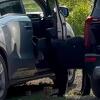 Medvjed pretraživao automobile u potrazi za hranom