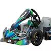 Električni karting bi mogao biti olimpijski sport u Los Angelesu 2028. godine