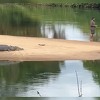 Snimak ribara koji opušteno stoji pored krokodila izazvao brojne reakcije