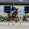 Velika pobjeda Lune Jusufović na Bečkom dresurnom takmičenju "Viennese Pony Championship 2023"
