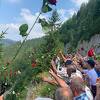 Godišnjica zločina na Korićanskim stijenama: Zločinici su tog dana ubili više od 200 Bošnjaka i Hrvata