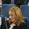 Nakon prozivke Efendića oglasila se Admela Hodžić, bivša članica SBiH