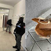 Sud BiH ukinuo mjere zabrane krim-grupi optuženoj za šverc kokaina uz EU u BiH
