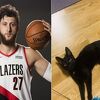 Jusuf Nurkić našao mačku u haustoru, moli potencijalnog vlasnika da je preuzme