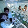 Zbog klimatskih promjena Novi Zeland razmatra laboratorijsko uzgajanje voća