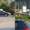 Dvojica navijača Zmajeva kažnjena u Doboju zbog isticanja zastave Republike Bosne i Hercegovine