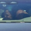 Ben Affleck snimljen kako uživa u društvu bivše supruge, mnogi misle da je na pomolu pomirenje