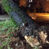 Nevrijeme počinilo veće štete u Mostaru i Čapljini
