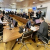 VSTV danas bira novog potpredsjednika nakon ostavke Biljane Simeunović