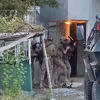 Turci objavili novi snimak akcije protiv PKK, specijalci upadali u stanove i kuće