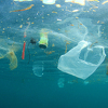 Morska bakterija "jede" plastiku koja se teško biološki razgrađuje
