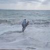 Snažan vjetar i talasi izbacili mladog delfina na plažu u Budvi, prolaznik ga spašavao