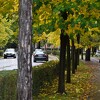 Nevjerovatne temperature jutros izmjerene širom BiH, u 5 ujutru u Banjoj Luci bilo 26 stepeni, a u Sarajevu 22