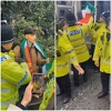 Slijede preporuku ministrice: Britanska policija privodi osobe koje nose zastavu Palestine