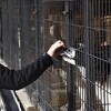 Travnik sistemski riješio problem napuštenih pasa, nesavjesni ljubitelji pasa otežavaju