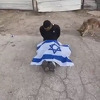 Internetom kruže desetine snimaka izraelskih vojnika kako zlostavljaju Palestince