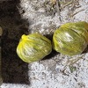 U Bugojnu i Travniku uhapšeni dileri zbog spida i marihuane