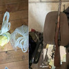 Velika akcija policije: Kod Banjalučanina pronađeno 1,6 kg droge i oružje
