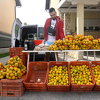 U mandarinama iz Hrvatske otkriven zabranjeni pesticid, posebno opasan za djecu