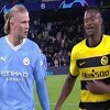 Sporno ili ne? Kapiten Young Boysa podijelio javnost nakon neobične molbe za Haalanda