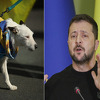 Zelenski otvorio dušu: Kada gledam sve ratove, pomislim da je najbolje da ovo bude planeta pasa